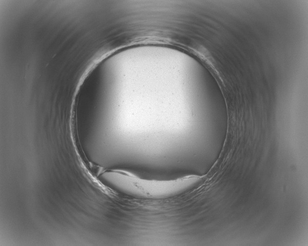 X0000054381379200508262356