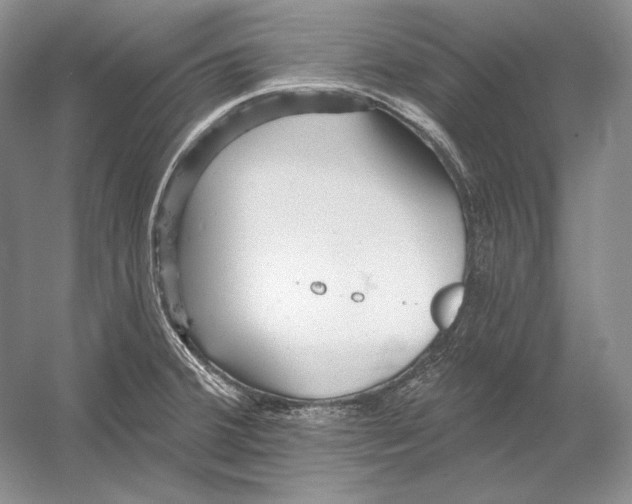 X0000054381380200508262356