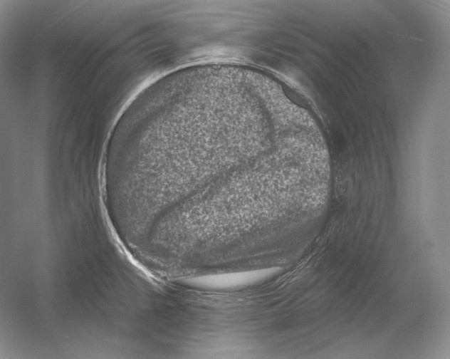 X0000054381383200508262356