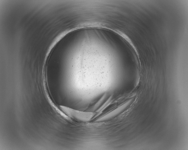 X0000054381389200508262356