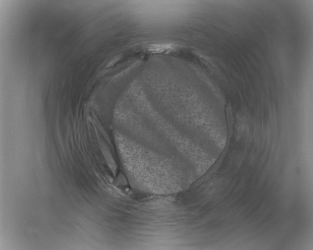 X0000054381394200508262355