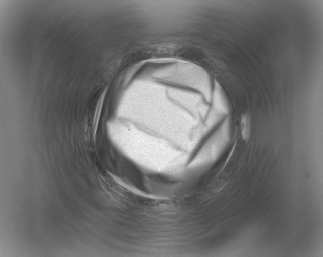 X0000054381395200508262355