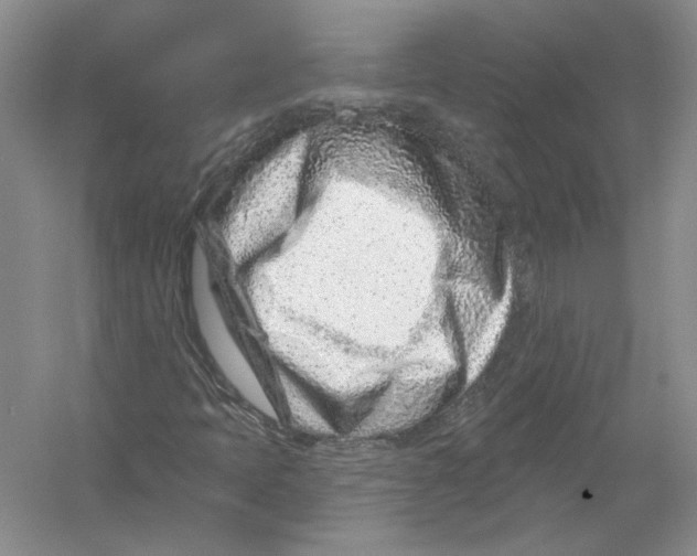 X0000054381397200508262355