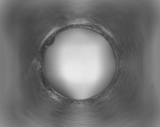 X0000054381400200508262355