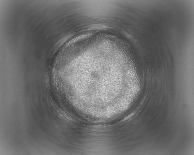 X0000054381401200508262355