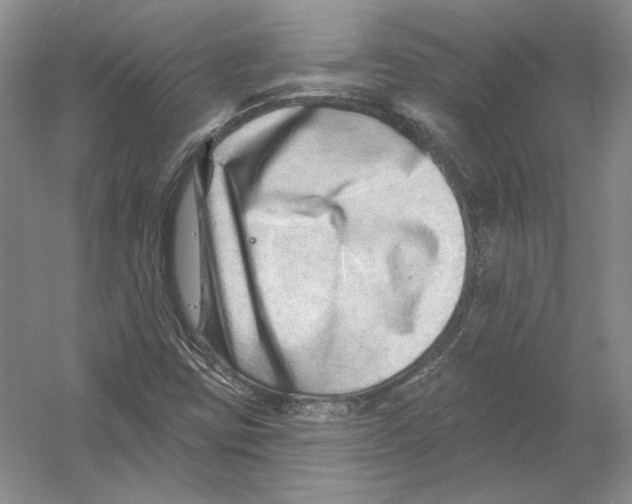 X0000054381403200508262355