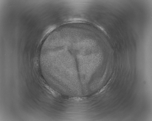 X0000054381405200508262355