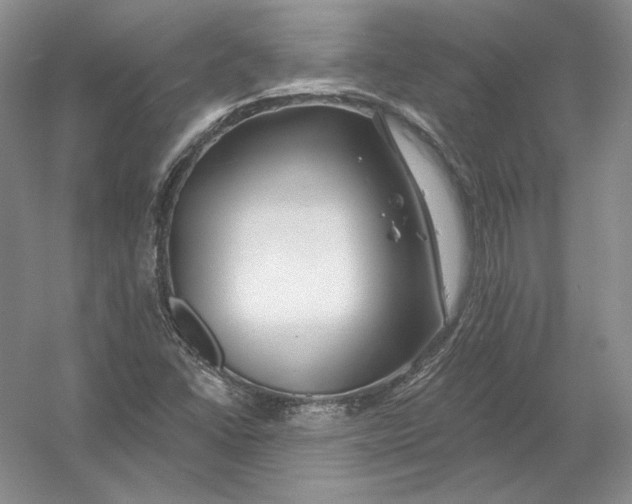 X0000054381406200508262355