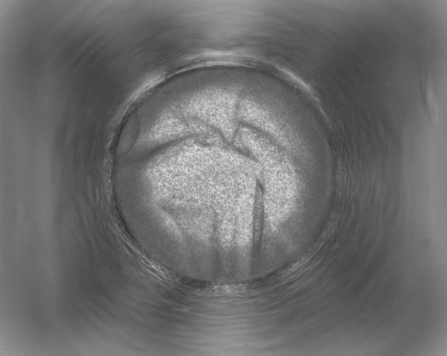 X0000054381411200508262355