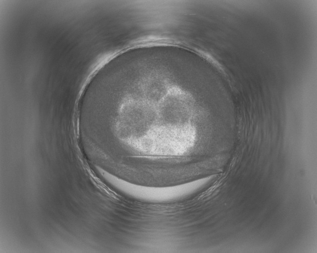 X0000054381413200508262355