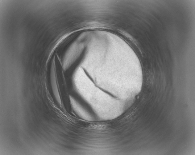 X0000054381415200508262355