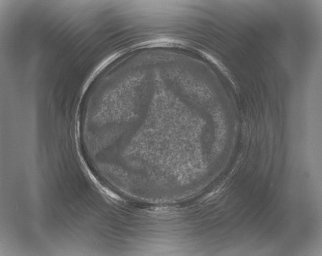 X0000054381418200508262355