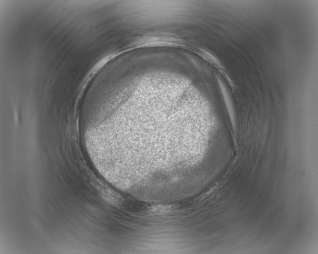 X0000054381419200508262355