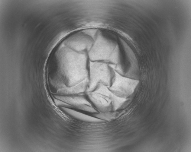 X0000054381423200508262355