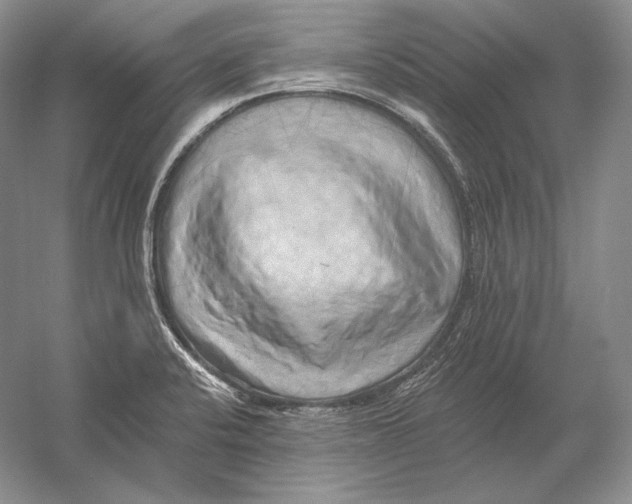 X0000054381424200508262355