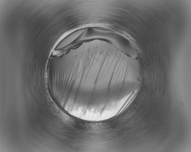 X0000054381428200508262356