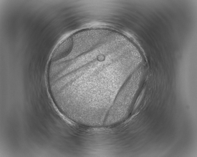 X0000054381429200508262356