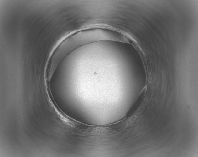 X0000054381430200508262356