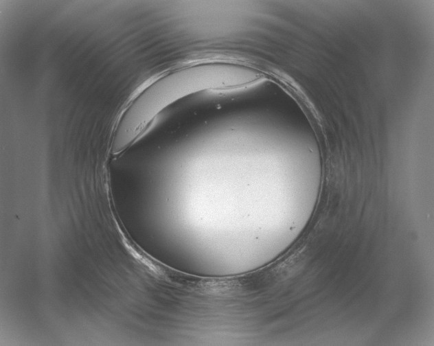 X0000054381433200508262356