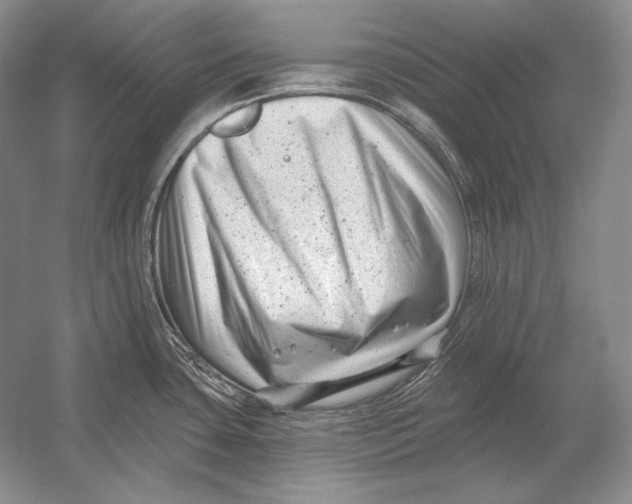 X0000054381435200508262356