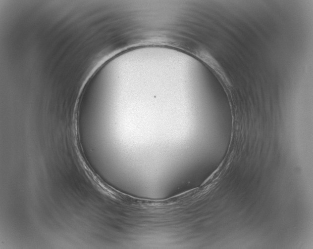 X0000054381436200508262356