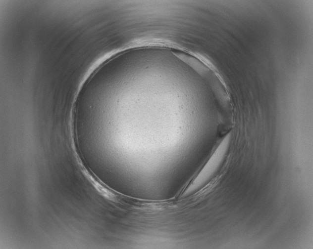 X0000054381438200508262356