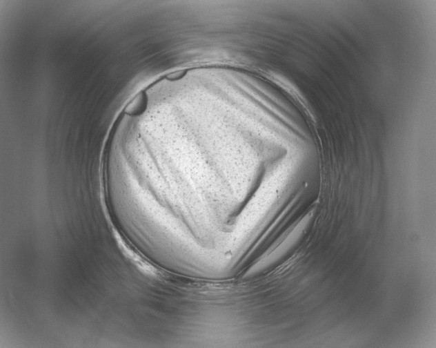 X0000054381439200508262356