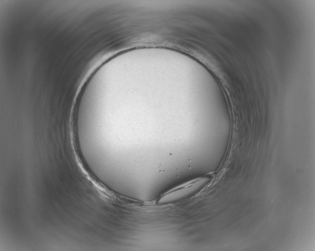 X0000054381440200508262356