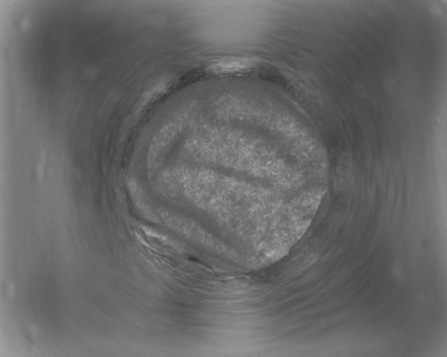 X0000054381441200508262355