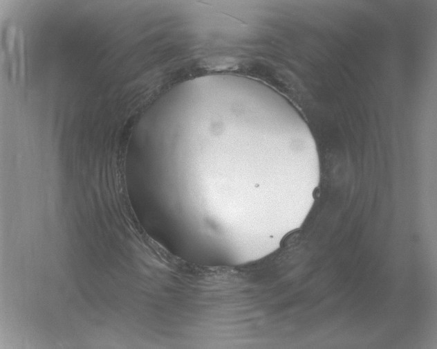 X0000054381442200508262355