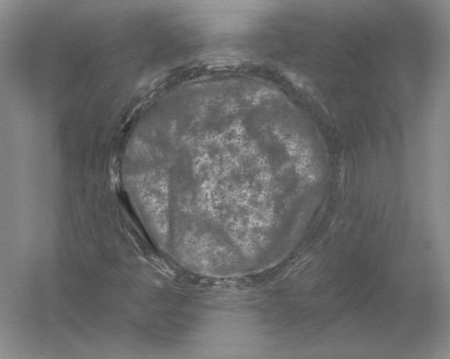 X0000054381445200508262355