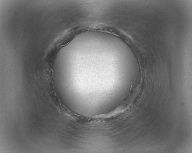 X0000054381447200508262355