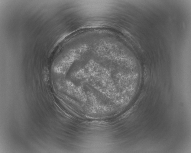 X0000054381449200508262355