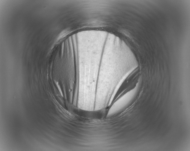 X0000054381451200508262355