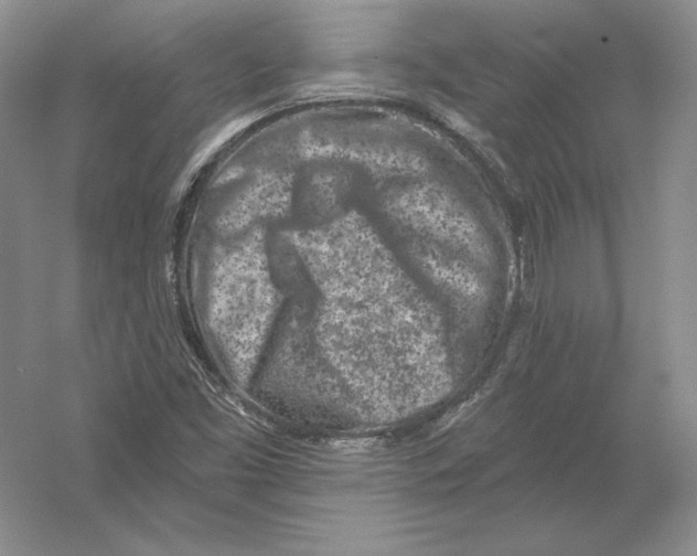 X0000054381453200508262355