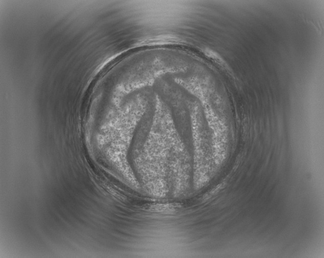 X0000054381457200508262355