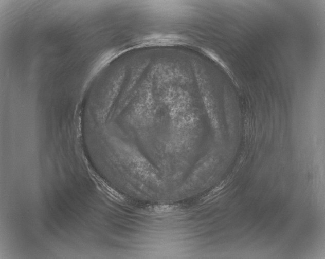 X0000054381459200508262355