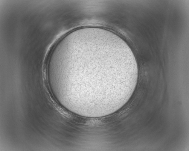 X0000054381462200508262355