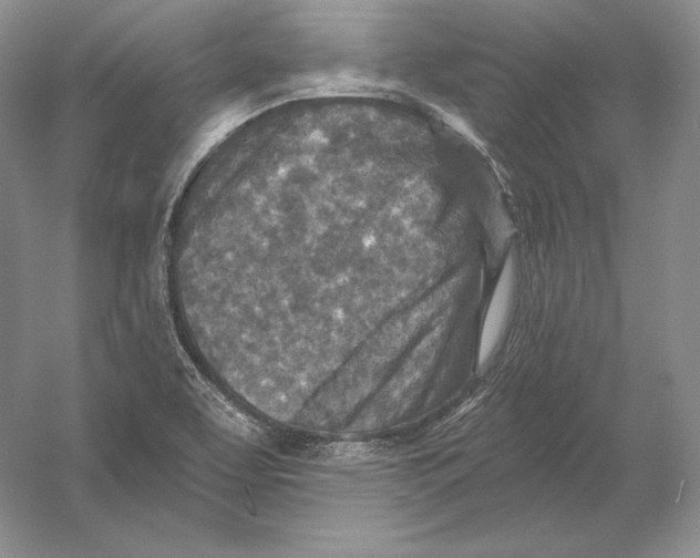 X0000054381463200508262355