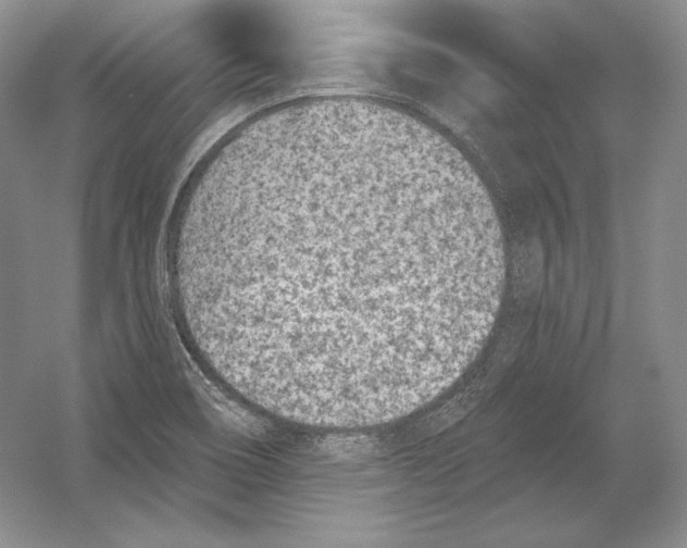 X0000054381466200508262355