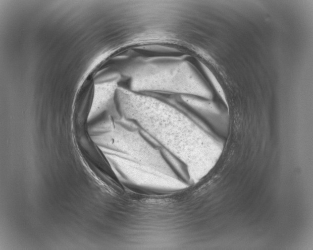 X0000054381469200508262354