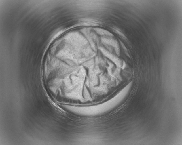 X0000054381471200508262354