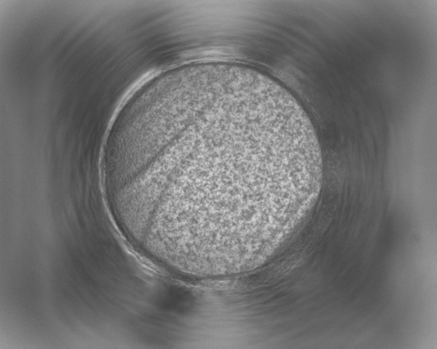 X0000054381474200508262354