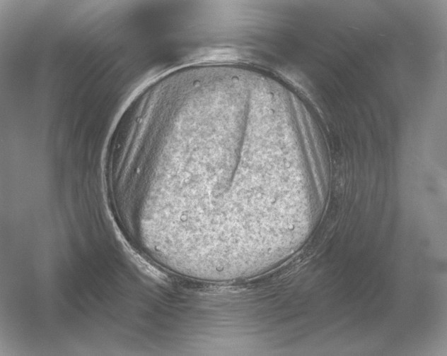 X0000054381475200508262354