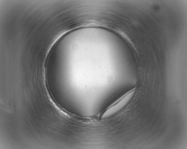 X0000054381476200508262354