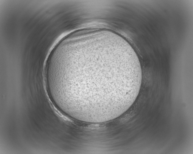 X0000054381478200508262354