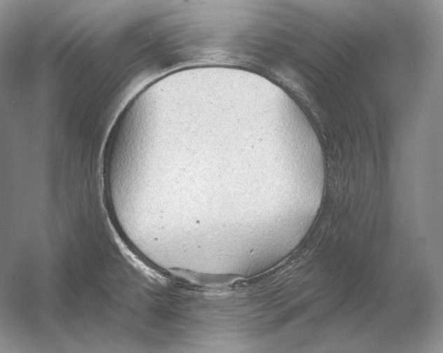 X0000054381479200508262354