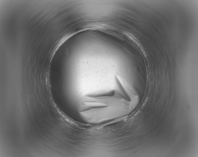 X0000054381481200508262354