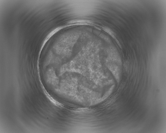 X0000054381482200508262354