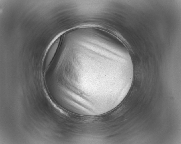 X0000054381484200508262354